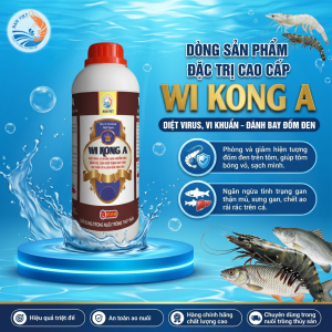 WI KONG A - Diệt nấm đồng tiền, diệt khuẩn ao nuôi