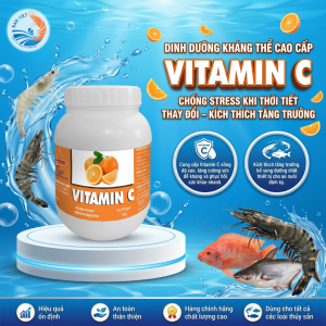 VITAMIN C - Dinh dưỡng kháng thể