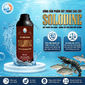 SOLODINE - Sát trùng cao cấp