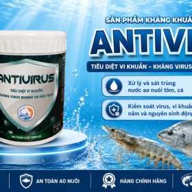 Antivirus