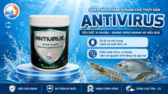 Antivirus