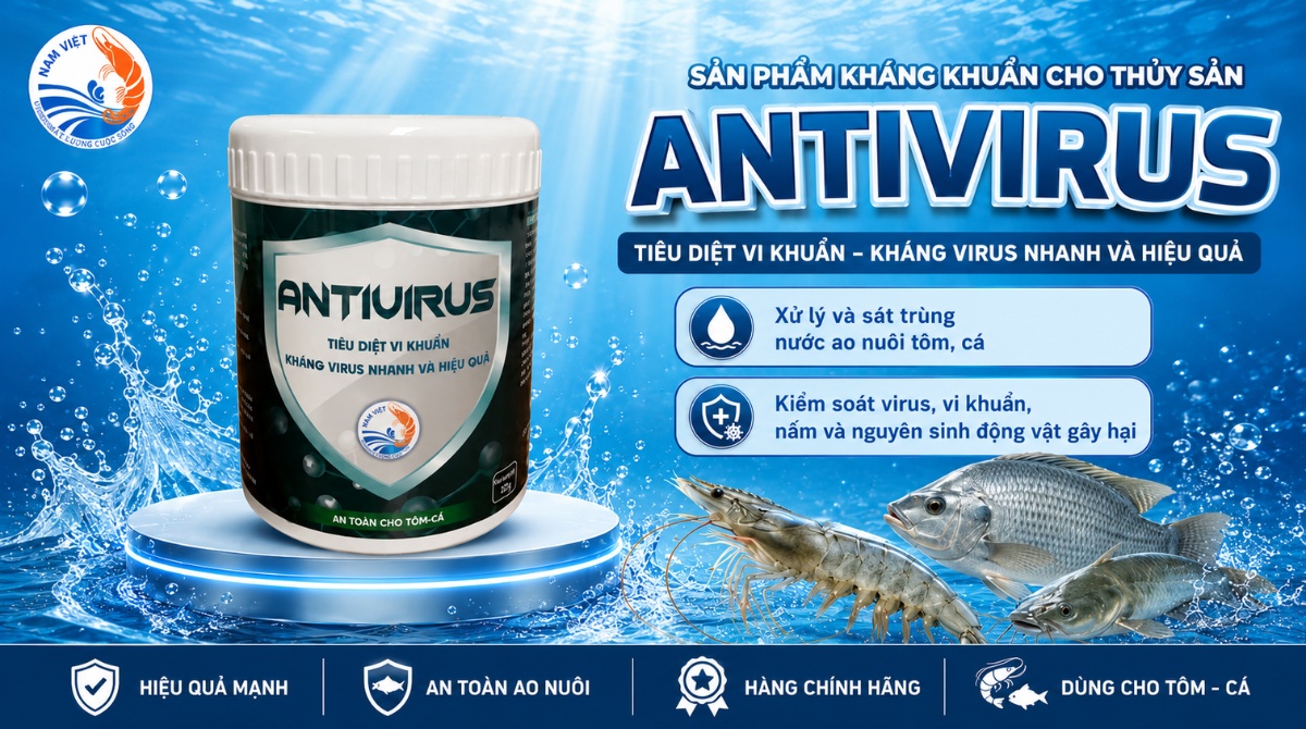 Antivirus