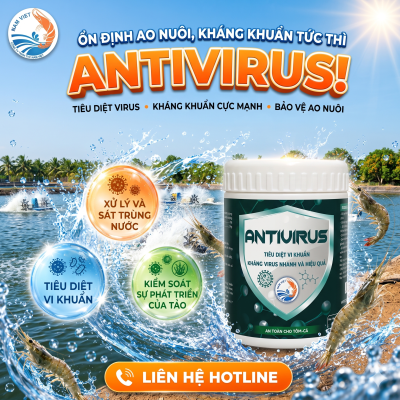 ANTI VIRUS - Thuốc Diệt Khuẩn Ao Tôm, Ức Chế Virus Dịch Bệnh | TVC Nam Việt