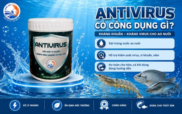 Antivirus có công dụng gì 