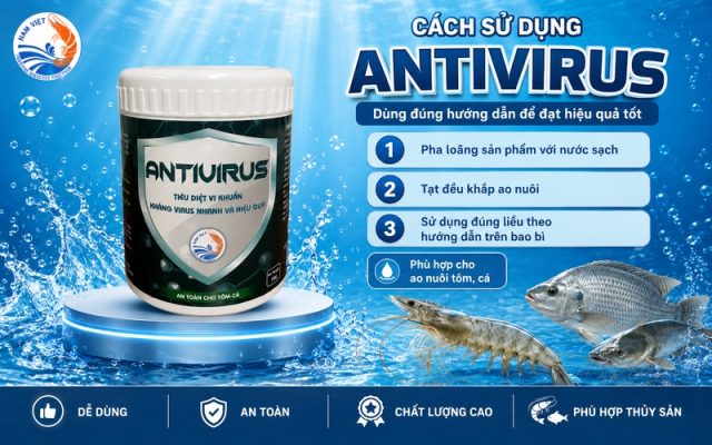 Cách sử dụng Antivirus
