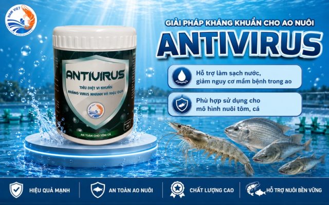 Giải pháp kháng khuẩn cho ao nuôi