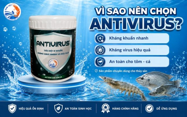 Vì sao nên chọn Antivirus
