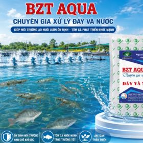 BZT AQUA – vi sinh cao cấp hỗ trợ xử lý đáy và nước ao nuôi thủy sản, giúp phân hủy mùn bã, hấp thu khí độc và ổn định môi trường ao.