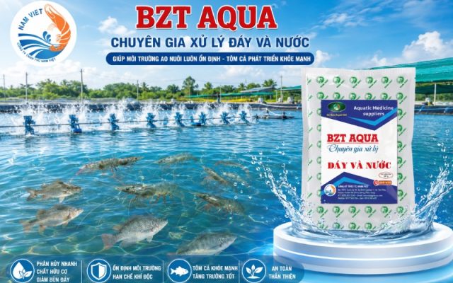 BZT AQUA – vi sinh cao cấp hỗ trợ xử lý đáy và nước ao nuôi thủy sản, giúp phân hủy mùn bã, hấp thu khí độc và ổn định môi trường ao.