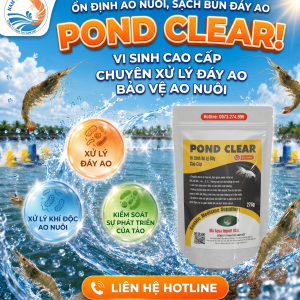 POND CLEAR - Vi Sinh Xử Lý Đáy Ao Tôm Cao Cấp, Giảm Khí Độc | TVC Nam Việt