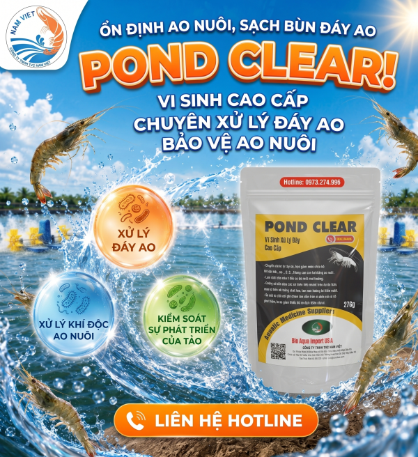 POND CLEAR - Vi Sinh Xử Lý Đáy Ao Tôm Cao Cấp, Giảm Khí Độc | TVC Nam Việt