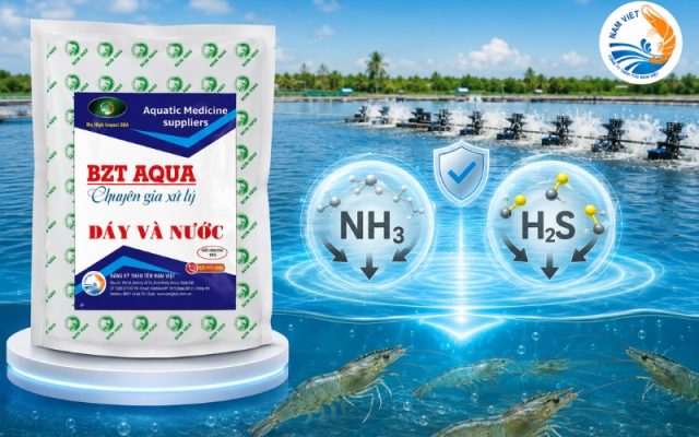 Hấp thu khí độc NH3, H2S